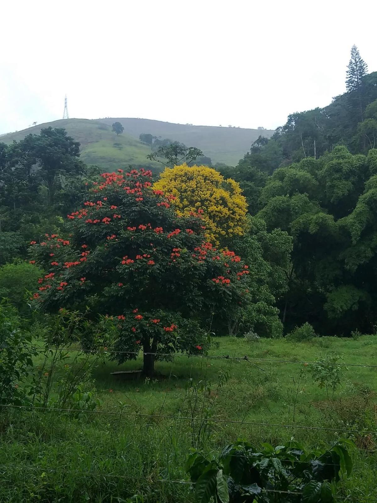 Fazenda Piloes Villa Petrópolis Esterno foto