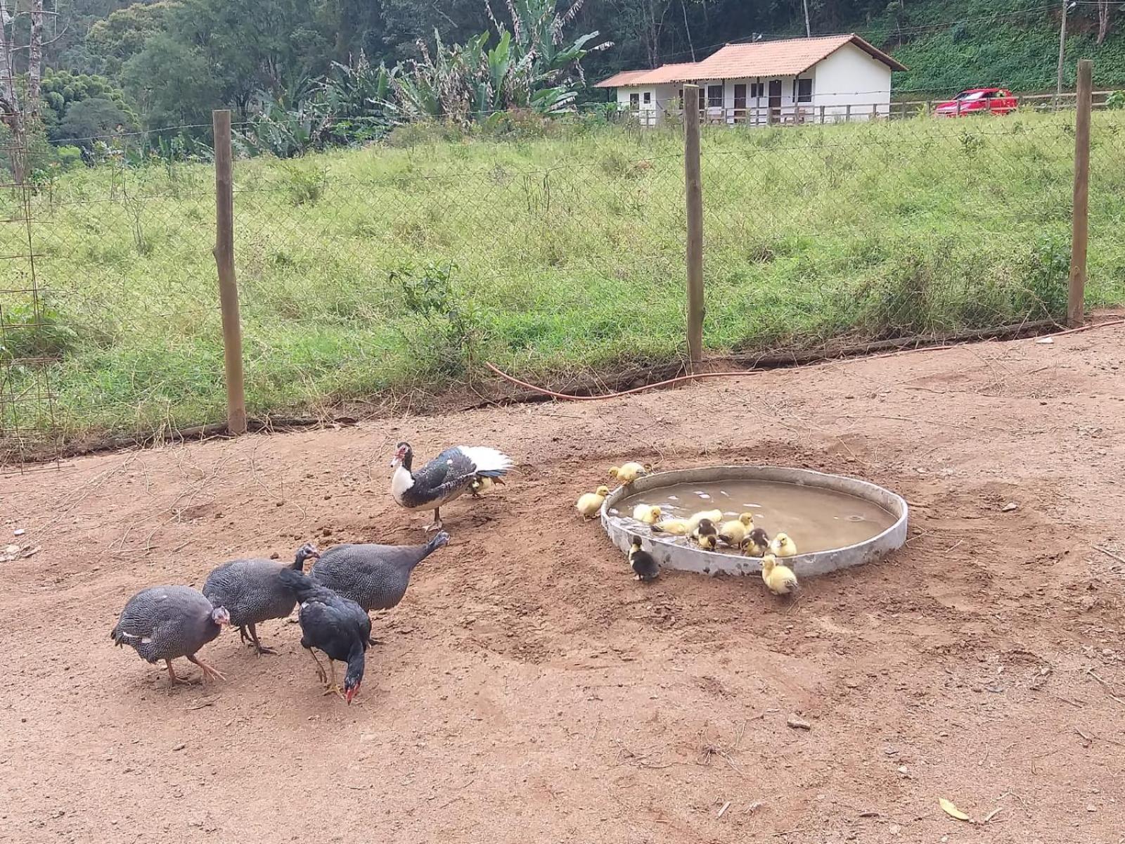 Fazenda Piloes Villa Petrópolis Esterno foto